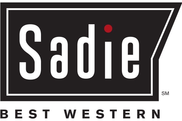Saide Logo
