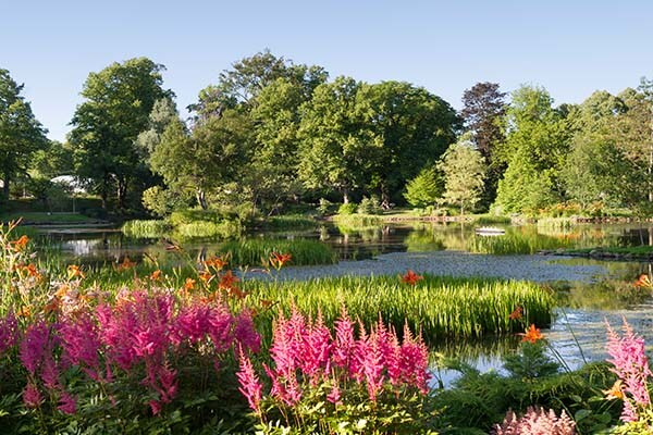 Halifax Gardens