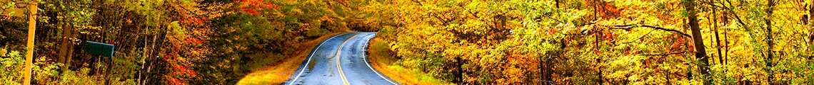 Road winding through wooded fall colors.