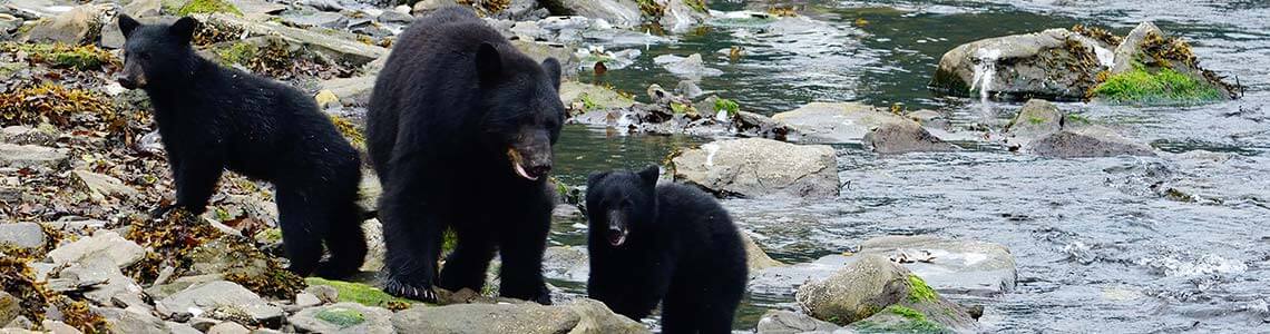 Attractions in West Virginia