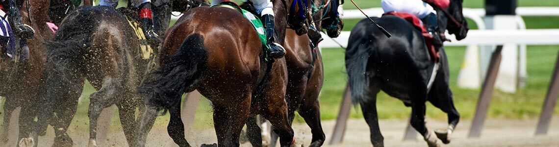 Horse racing in North Dakota