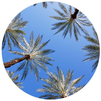 Palm Springs, CA