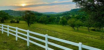 Texas Landscape