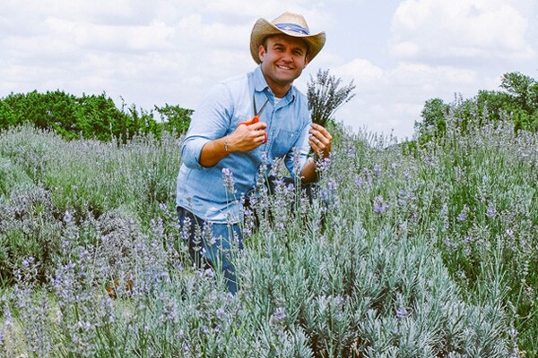 Hill Country Lavender