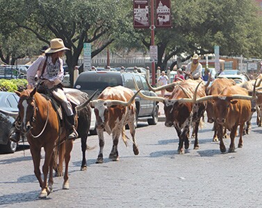 Fort Worth Stockyards