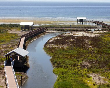 South Padre Birding Center