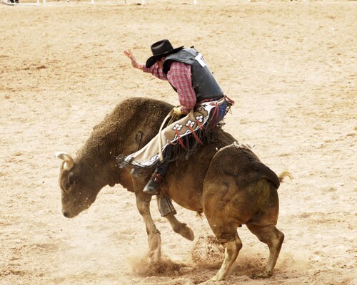 Cowboy riding bucking bronco