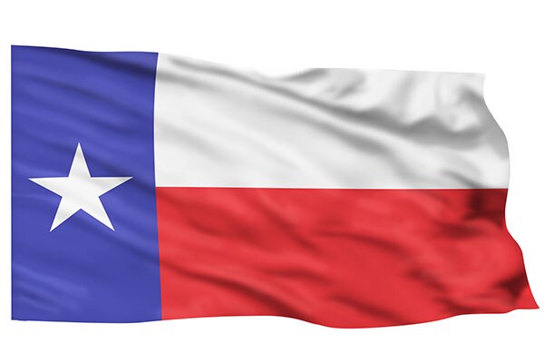 Texas State Flag