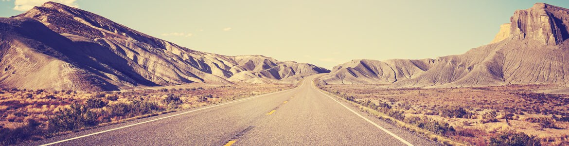 Texas Desert road