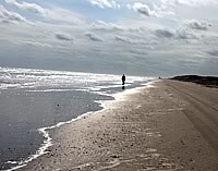 Sea Rim State Park