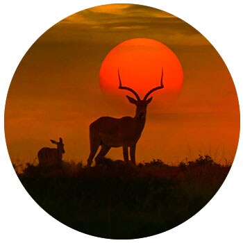 Tanzania