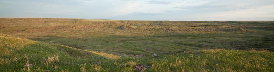 Grasslands National Park