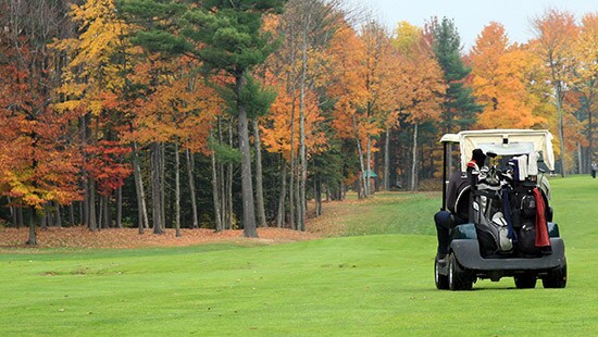 Golf Cart in Manitoba
