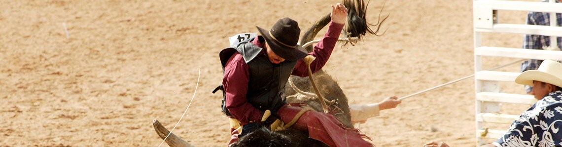 Cowboy riding a bull in Manitoba
