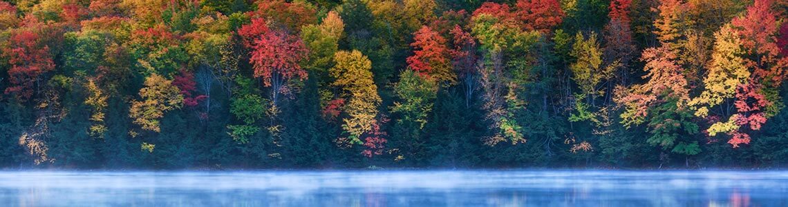 Algonquin National Park