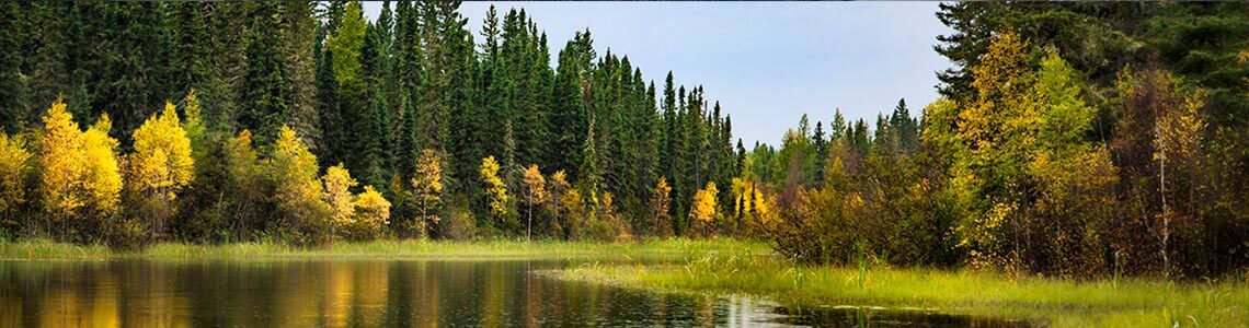 Prince Albert National Park