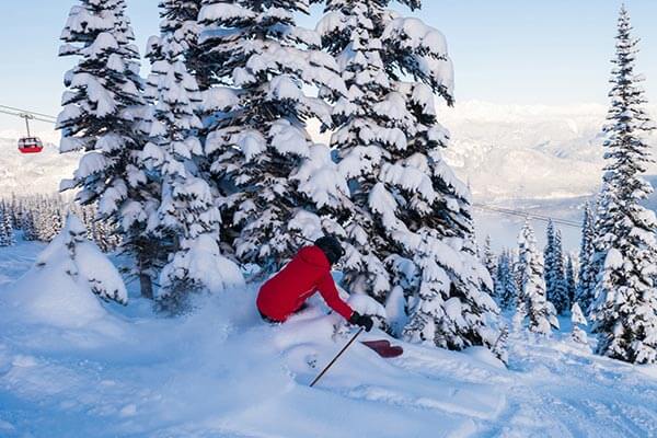 Skiing Fresh Powder