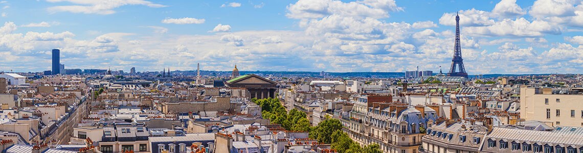 Paris Skyline and Eifel Tower