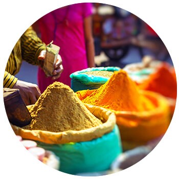 Indian Spices