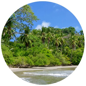 Costa Rica beach and rainforest