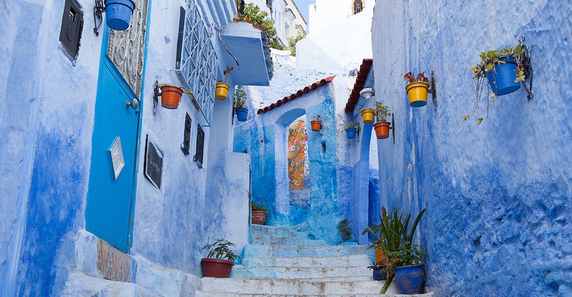 Colorful pots and plants line blue stairway