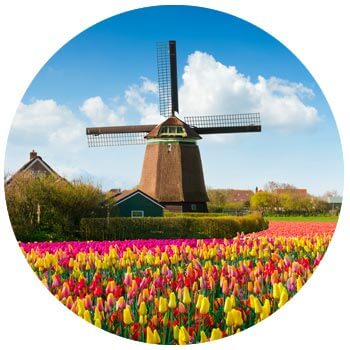 Dutch Windmill and spring flowers