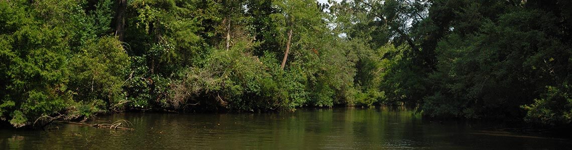 River in Alabama