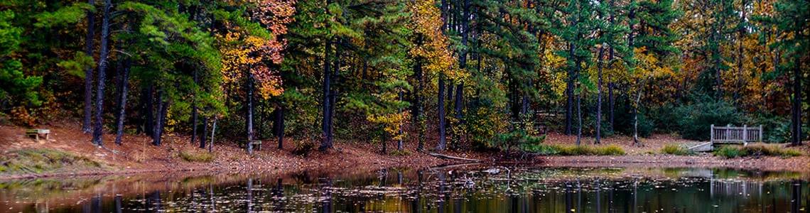 Hiking Trail in Arkansas