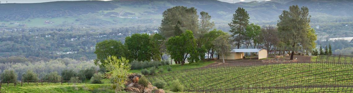 Vineyard in Lake County, CA