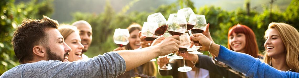 Friends celebraing at a California vineyard 