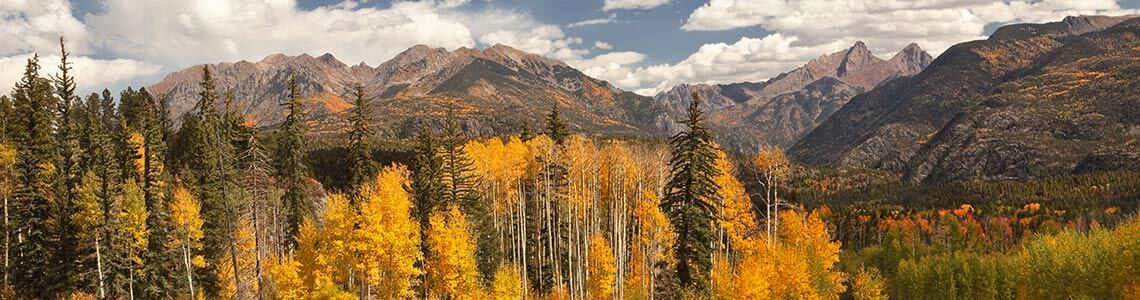 San Juan National Forest near Durango, CO