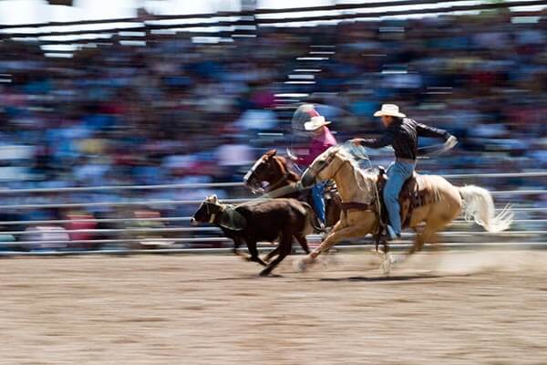 Rodeo in Denver Colorado