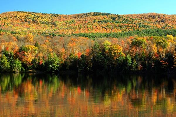 Fall Appalachias in Connecticut