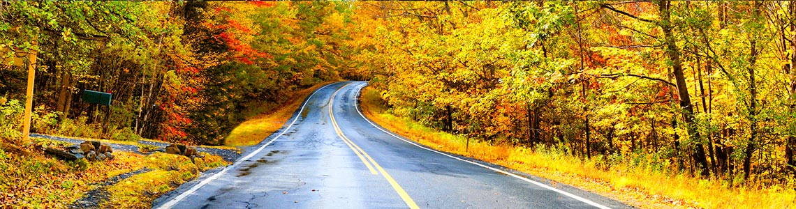 Fall leaves on a road in Connecticut