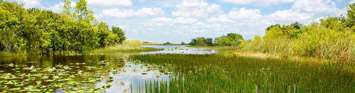 Everglades National Park, Florida