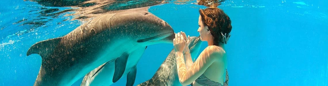 Woman swimming with dolphins in Florida