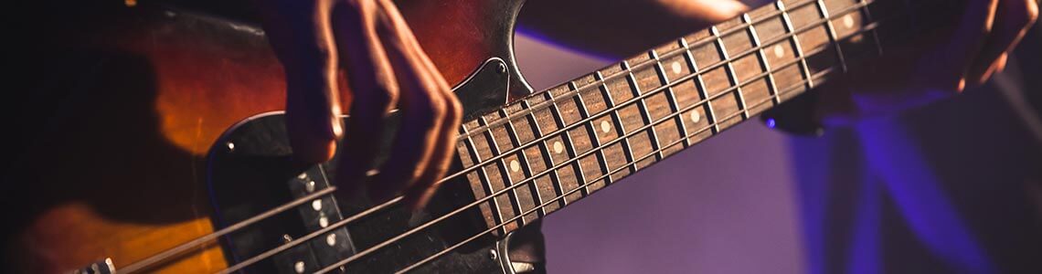 Bass Guitar at a Blues Festival in Illinois
