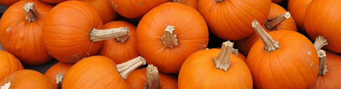 Pumpkin Pile in Illinois