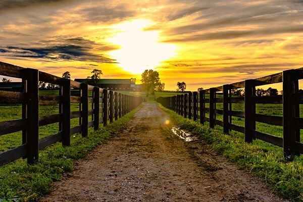 Horse farm in Kentucky