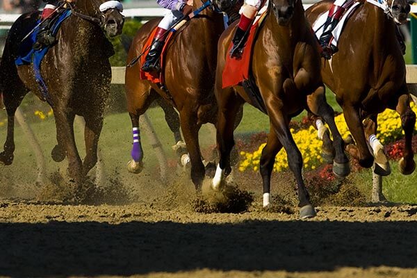 Horse race in North Central Kentucky