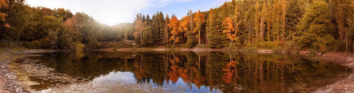 Fall in Maine