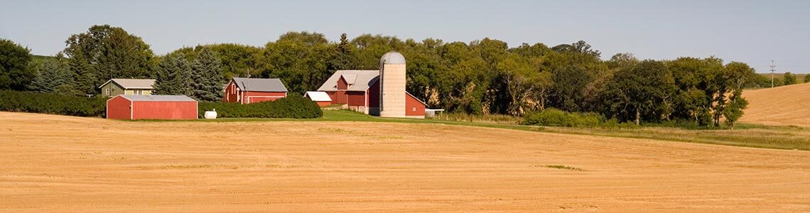 Farm in Minnesota