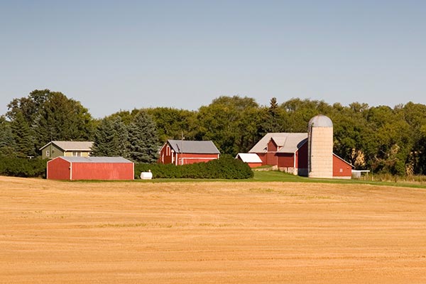 Minnesota farm at harvest time