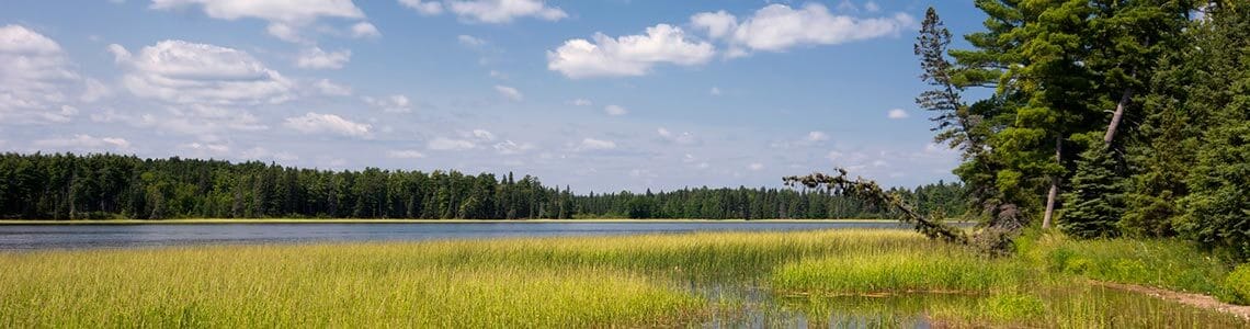 Lake Itasca, source of the Mississippi River in MN