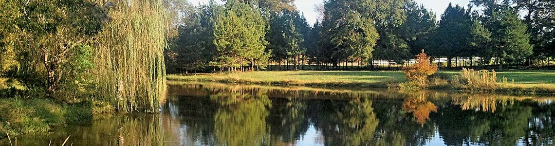 Lake in Mississippi