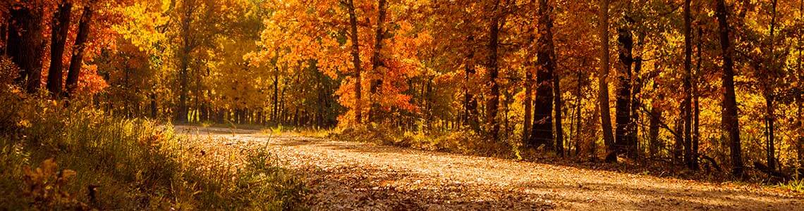 Hiking Trails in Eastern Missouri