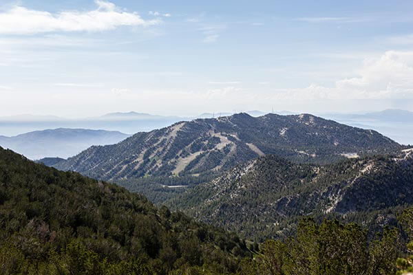 Humboldt-Toiyabe National Forest
