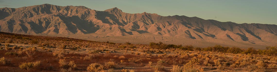 Mohave Desert in Nevada
