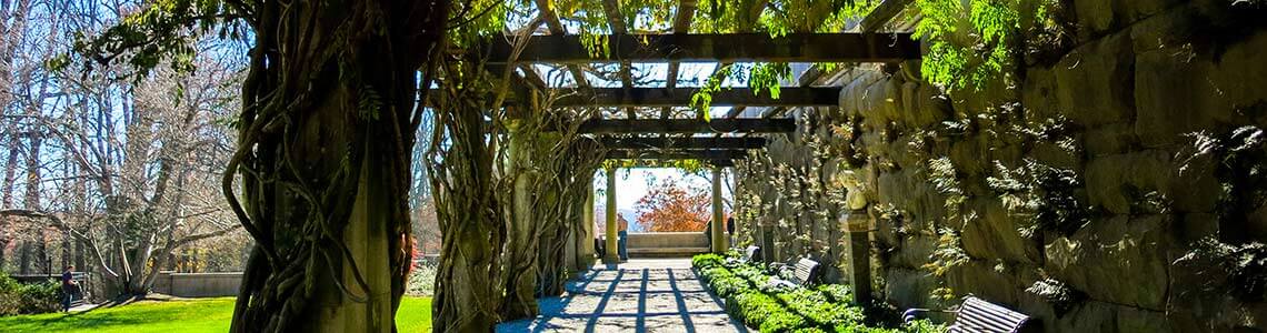 Vanderbilt Garden in North Carolina