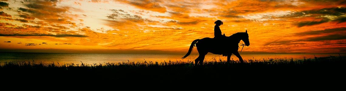 Cowboy riding at sunset on the plains of ND